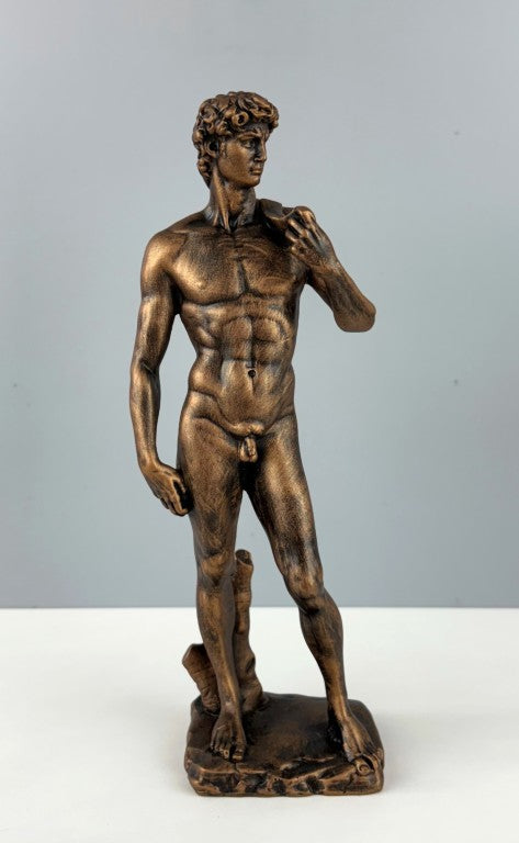 David Michelangelo Statue, 30cm - 11.8 in