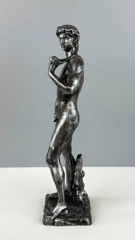 David Michelangelo Statue, 30cm - 11.8 in