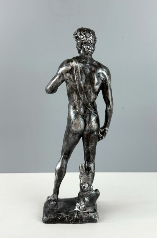 David Michelangelo Statue, 30cm - 11.8 in
