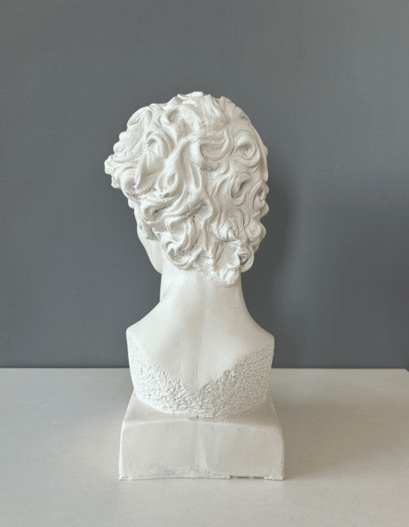 David Semi Face Bust Statue, 33 cm - 13 in