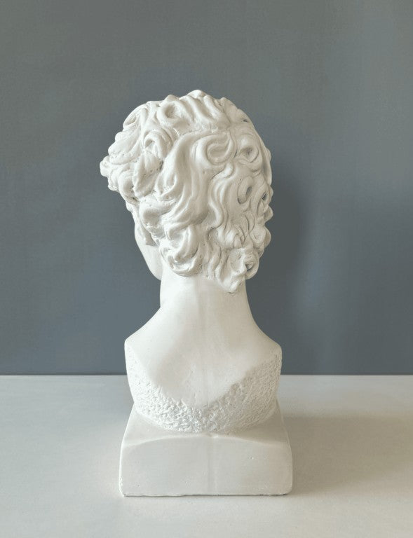 David Bust Statue, 33 cm - 13 in