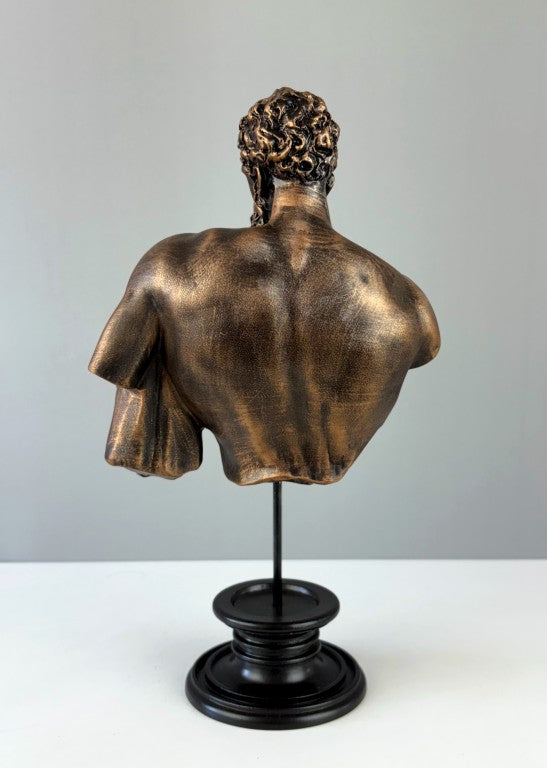 Hercules Bust Statue, 30cm - 11.8 in
